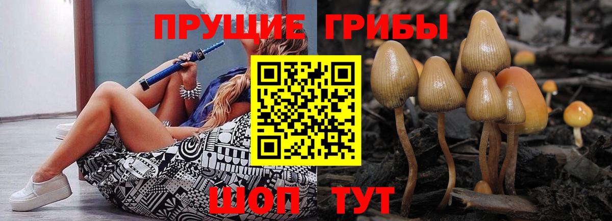 Геленджик  Галлюциногенные грибы Cubensis  Вход с VPN  Галлюциногенные грибы ЛСД 